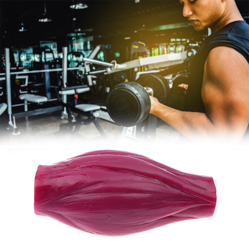 Nutrition Fitness Course - Модель для измерения мышечной массы (1
